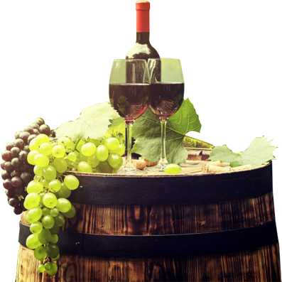 vinos
